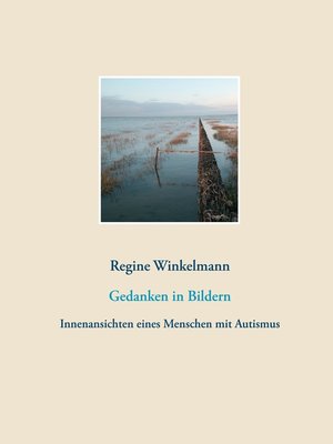 cover image of Gedanken in Bildern
